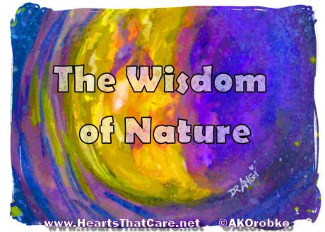 08Aug_06_Wisdom+Nature